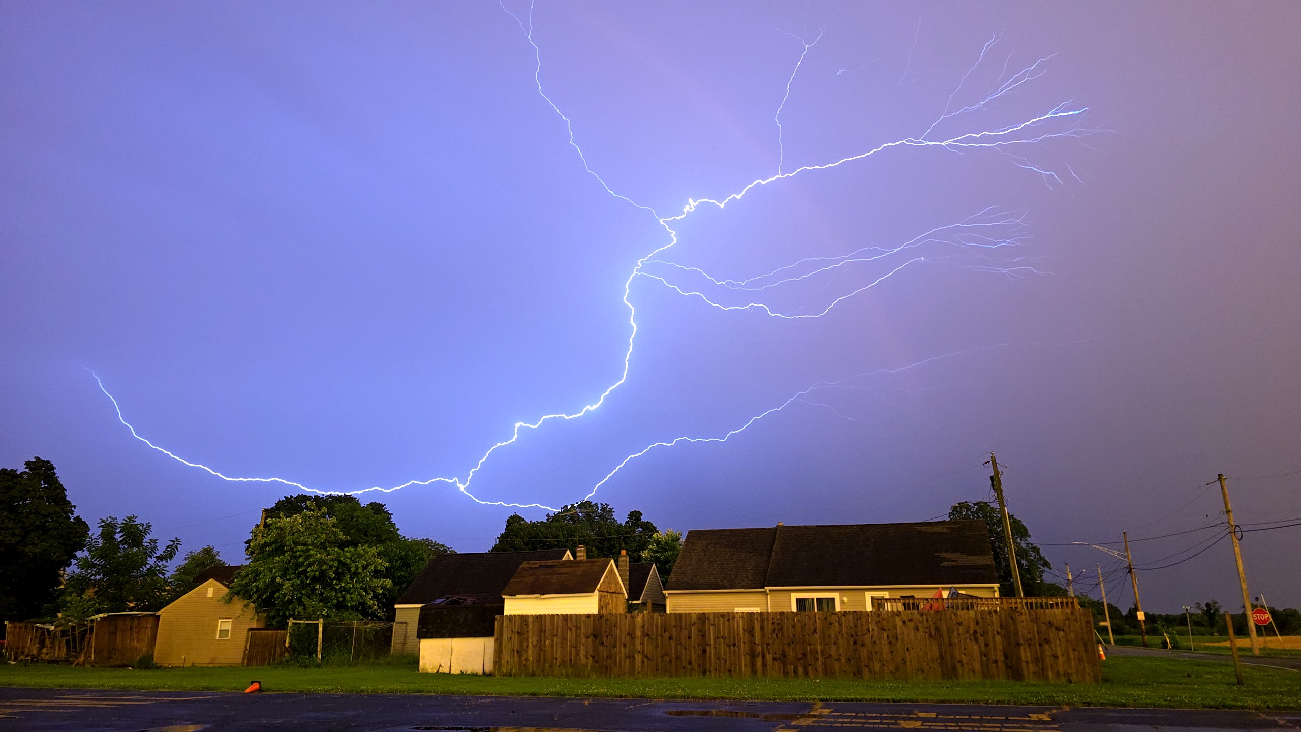 1st PrizeOpen Color In Class 1 By Shawn Brighenti For Electric Rainbow SEP-2025.jpg